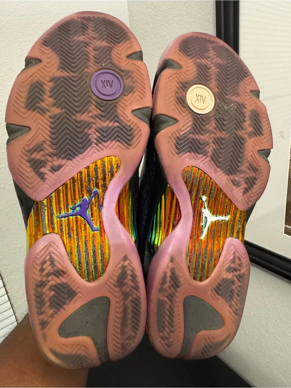 Air Jordan 14 Retro DB 2019 Doernbecher